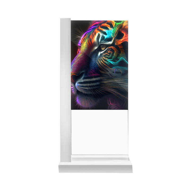 White 55 Inch Transparent OLED Touch Screen Commercial Display for Retail & Business Use