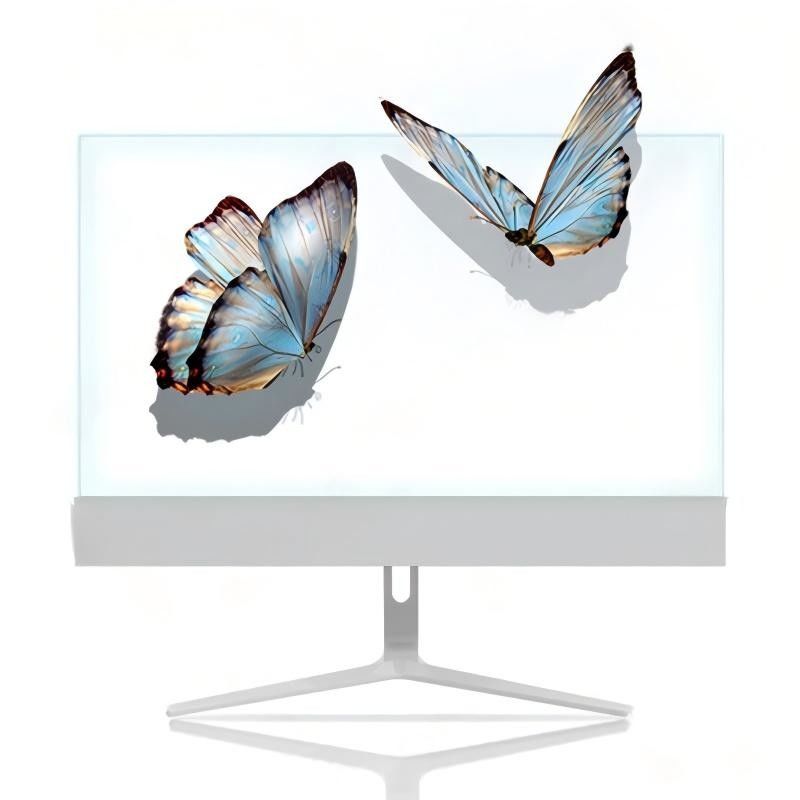 Panneaux d'affichage transparents OLED polychromes à haute transparence pour la publicité intérieure et les magasins de détail