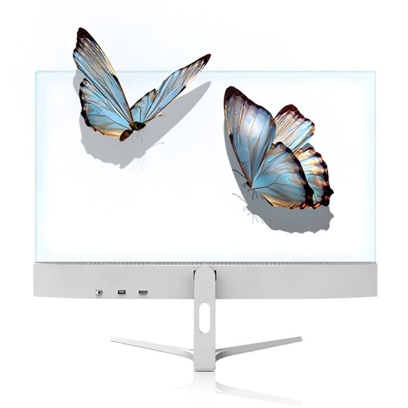 Panneaux d'affichage transparents OLED polychromes à haute transparence pour la publicité intérieure et les magasins de détail