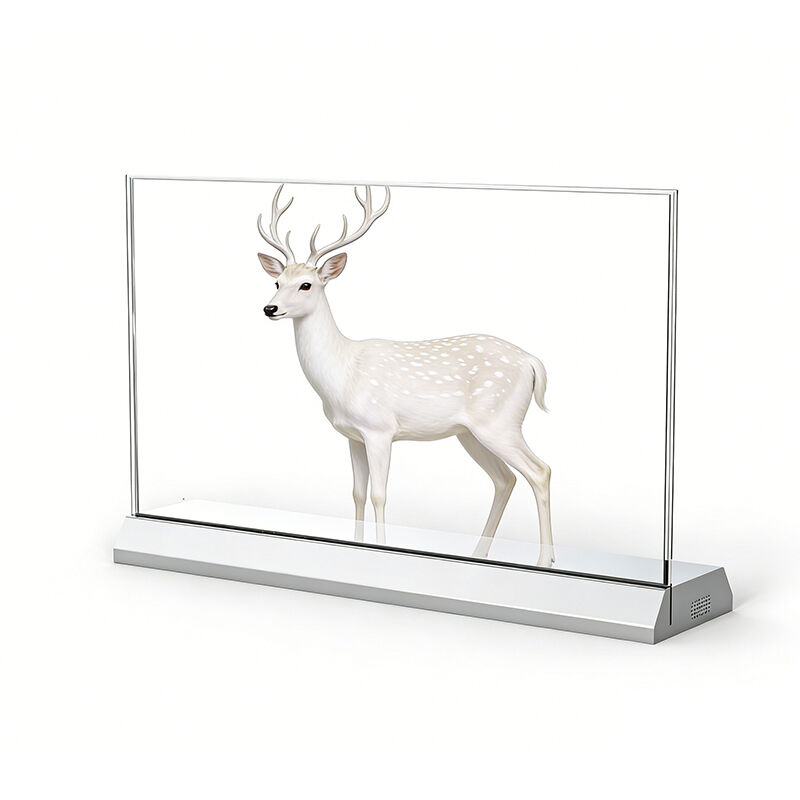 Écran OLED transparent de bureau personnalisé de 55 pouces pour la signalisation numérique professionnelle et la présentation de produits haut de gamme