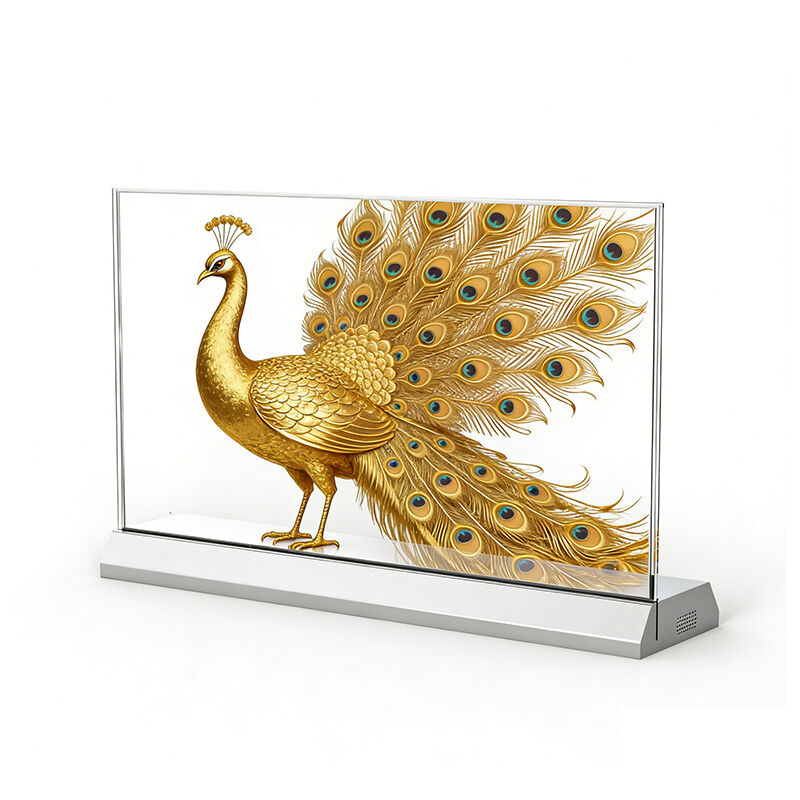 Écran OLED transparent de bureau personnalisé de 55 pouces pour la signalisation numérique professionnelle et la présentation de produits haut de gamme