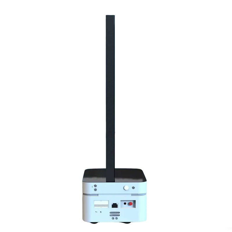 55 Inch All-in-One Intelligent Transparent OLED Screen Digital Person for Government Use Mobile AI Virtual Elevator Companion