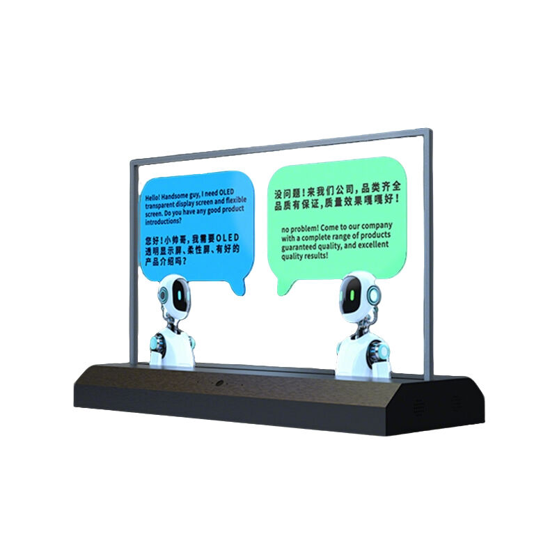 Indoor 30 Inch Two-Way Translation Advertising Screen Flexible Transparent OLED Screen Displays Module for Advertising