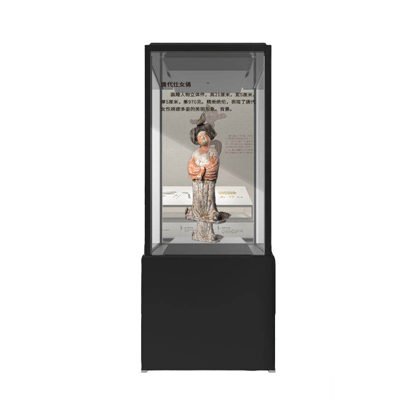 55 Inch OLED Self-luminous Window System HDR Support Cultural Relics OLED Transparent Display Showcase