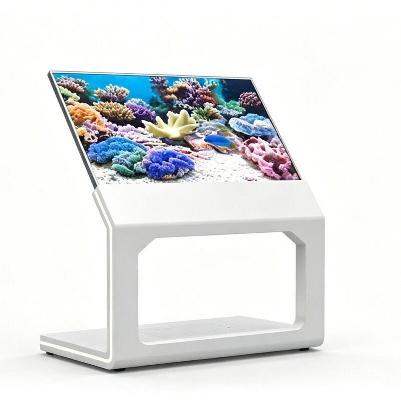 55 Inch Ultra Thin Floor Standing High brightness transparent OLED Interactive Touch Screen for exhibitions and museums