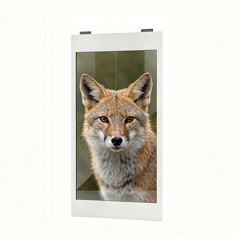 55 Inch Custom Shell Transparent Oled Display High Transparency Vertical 2x2 splicing model See Through Touchscreen