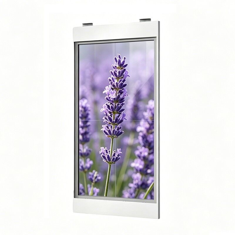 55 Inch Custom Shell Transparent Oled Display High Transparency Vertical 2x2 splicing model See Through Touchscreen