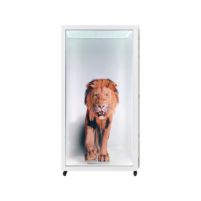 98 Inch Transparent Video Showcase Turning Large Spaces into Immersive Visual Storytelling Scenes