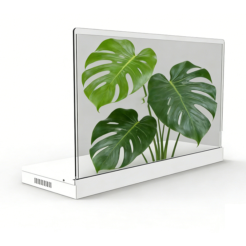 Transparent Version 30 Inches Desktop Ig transparent oled displays