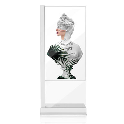 Affichage OLED transparent tactile de 55 pouces pour les applications commerciales et interactives intelligentes