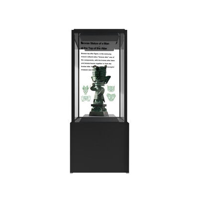 Système de fenêtre OLED auto-lumineux de 55 pouces avec prise en charge HDR pour l'affichage de reliques culturelles et de musées