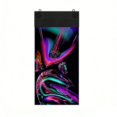 Affichage OLED transparent suspendu à double face flexible de 5 pouces pour une expérience visuelle intérieure avancée