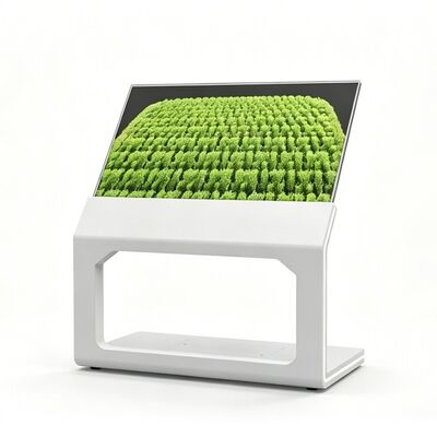 55 Inch Ultra Thin Floor Standing High brightness transparent OLED Interactive Touch Screen for exhibitions and museums